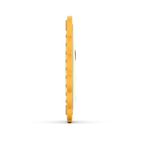 Matchstick Monkey gryzak silikonowy sensoryczny BioCote Flat Face Lion Matchstick Monkey gryzak silikonowy sensoryczny BioCote Flat Face Lion