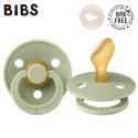 BIBS COLOUR ANATOMICAL SAGE M Smoczek ortodontyczny kauczuk Hevea BIBS COLOUR ANATOMICAL SAGE M Smoczek ortodontyczny kauczuk Hevea