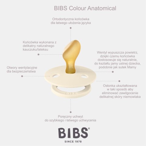 BIBS COLOUR ANATOMICAL VANILLA M Smoczek ortodontyczny kauczuk Hevea BIBS COLOUR ANATOMICAL VANILLA M Smoczek ortodontyczny kauczuk Hevea