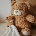 Petú Petú - Przyjaciel do tulenia miś Teddy Brown 28 cm Petú Petú - Przyjaciel do tulenia miś Teddy Brown 28 cm