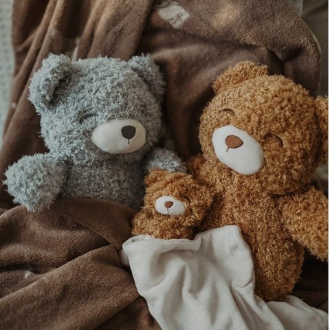 Petú Petú - Przyjaciel do tulenia miś Teddy Brown 28 cm Petú Petú - Przyjaciel do tulenia miś Teddy Brown 28 cm