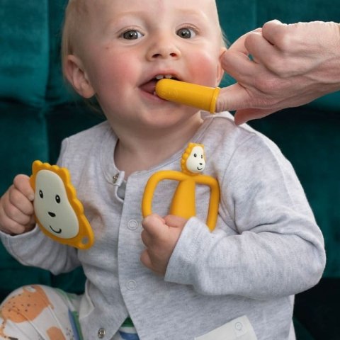 Matchstick Monkey zestaw do higieny jamy ustnej niemowlaka 4 szt Lion Matchstick Monkey zestaw do higieny jamy ustnej niemowlaka 4 szt Lion