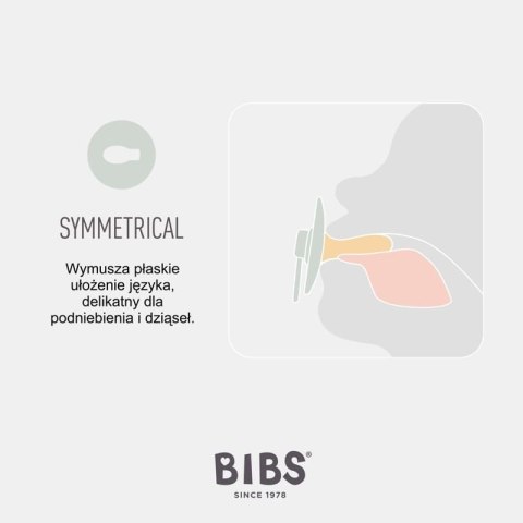 BIBS COLOUR SYMMETRICAL 2-PACK IVORY & BLUSH S Smoczek Symetryczny kauczuk Hevea BIBS COLOUR SYMMETRICAL 2-PACK IVORY & BLUSH S Smoczek Symetryczny kauczuk Hevea