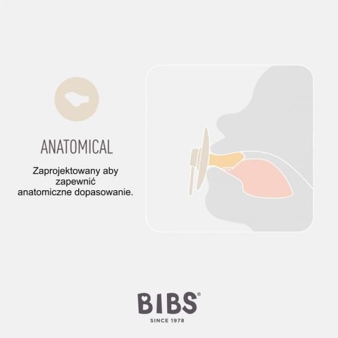 BIBS LIBERTY COLOUR ANATOMICAL 2-PACK CHAMOMILE LAWN PINE S Smoczek Anatomiczny kauczuk Hevea BIBS LIBERTY COLOUR ANATOMICAL 2-PACK CHAMOMILE LAWN PINE S Smoczek Anatomiczny kauczuk Hevea