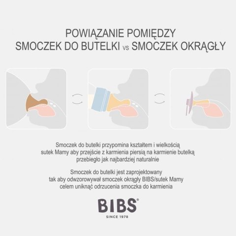 BIBS COLOUR PINE M Smoczek Uspokajający kauczuk Hevea BIBS COLOUR PINE M Smoczek Uspokajający kauczuk Hevea