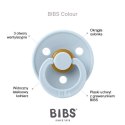 BIBS COLOUR PINE M Smoczek Uspokajający kauczuk Hevea BIBS COLOUR PINE M Smoczek Uspokajający kauczuk Hevea