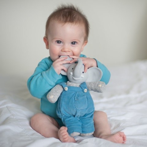 Meiya & Alvin - Alvin Elephant Mini Deluxe Teether Gift Set with Book Meiya & Alvin - Alvin Elephant Mini Deluxe Teether Gift Set with Book
