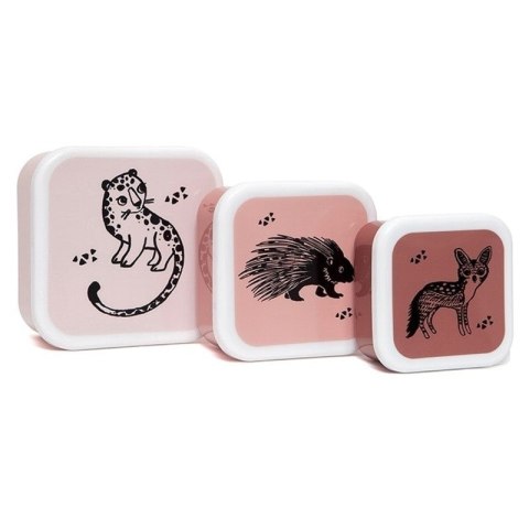 Petit Monkey - 3 śniadaniówki lunchboxy Desert Rose Petit Monkey - 3 śniadaniówki lunchboxy Desert Rose