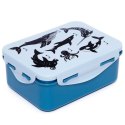 Petit Monkey - Śniadaniówka Lunchbox Deep Blue Petit Monkey - Śniadaniówka Lunchbox Deep Blue
