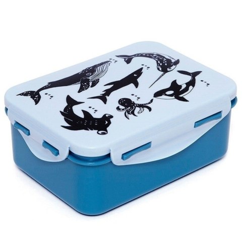 Petit Monkey - Śniadaniówka Lunchbox Deep Blue Petit Monkey - Śniadaniówka Lunchbox Deep Blue