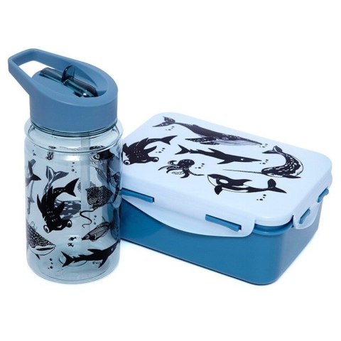Petit Monkey - Śniadaniówka Lunchbox Deep Blue Petit Monkey - Śniadaniówka Lunchbox Deep Blue