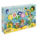 Petit Monkey - gra Animal Lotto Petit Monkey - gra Animal Lotto