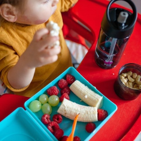 Carl Oscar Kids Sandwich Box Pojemnik na przekąski i kanapki Purple - Cow Carl Oscar Kids Sandwich Box Pojemnik na przekąski i kanapki Purple - Cow